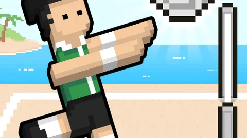 Volleyball Random